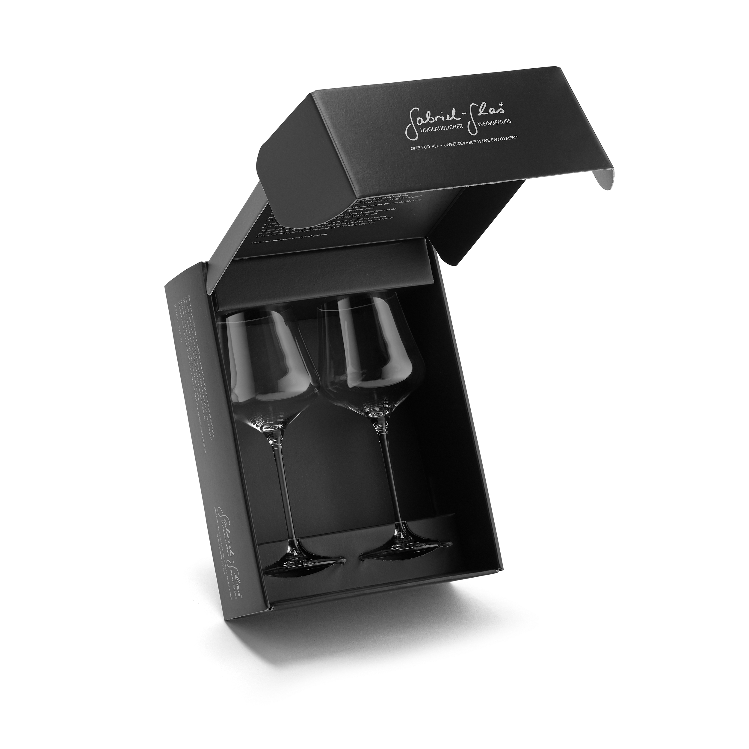 Gabriel-Glas-StandArt-2er-Karton-offen-2500px